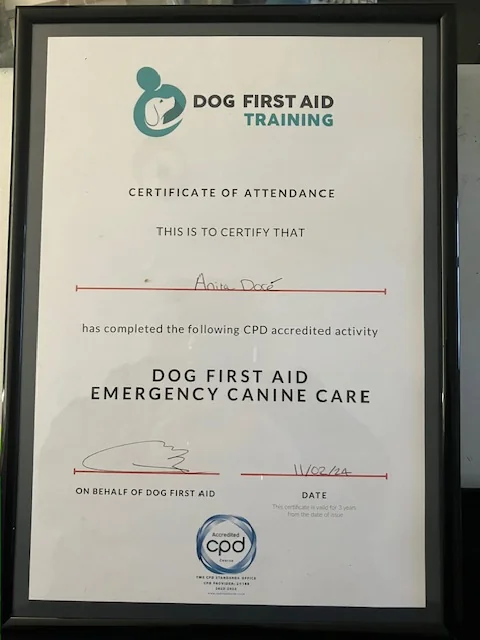 Anita's Dog First Aid certificate of attendance